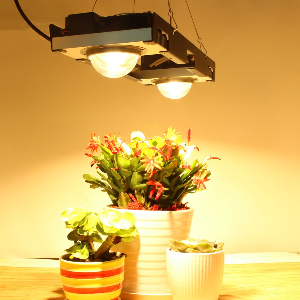 크리 어 CXB3590 COB LED 성장 조명 전체 스펙트럼 200W 시민 1212 LED 식물 텐트 온실에 대 한 램프를 성장 수경 식물